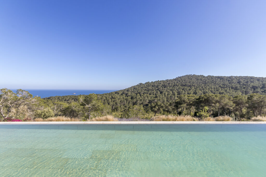 A serene infinity pool overlooks a lush green forest and a distant ocean under a clear blue sky, epitomizing luxury travel. The scene exudes tranquility, with the pools edge blending seamlessly with the horizon. David Pearson Travel