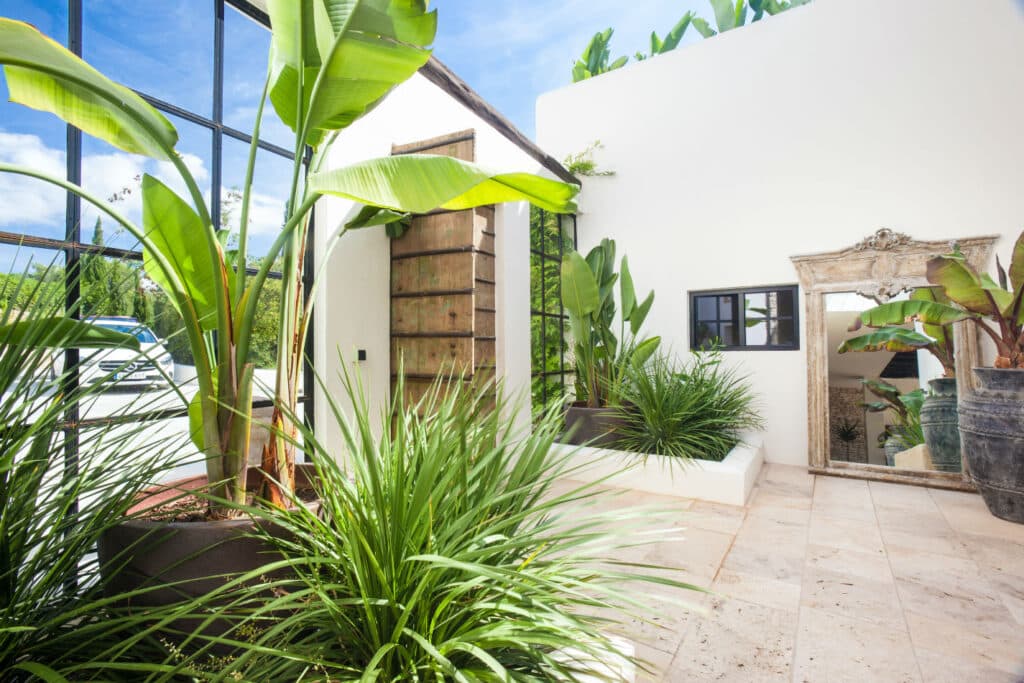 A bright, modern room with large windows exudes a luxury travel vibe. It features lush green plants, a wooden door, a marble-like floor, and a decorative mirror. Natural light fills the space, creating a fresh and inviting atmosphere. David Pearson Travel