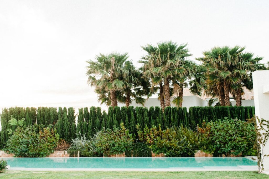 A serene backyard scene exudes luxury travel vibes, with a rectangular swimming pool bordered by lush greenery, including tall palm trees and hedges. The bright sky creates a tranquil and inviting atmosphere, perfect for indulging in an escape to paradise. David Pearson Travel