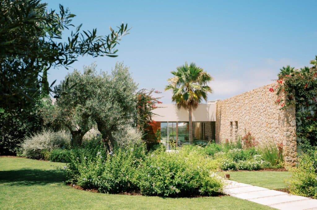 A modern house with stone walls is surrounded by lush greenery and trees, embodying a luxury travel retreat. A path leads to the entrance, where a palm tree stands prominently against the clear blue sky. David Pearson Travel