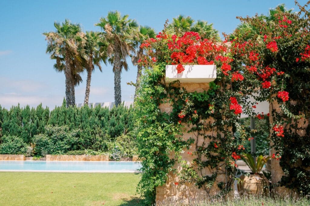 Experience the epitome of luxury travel in a vibrant garden scene with a stone building draped in lush green vines and red flowers. Tall palm trees grace the edges of a rectangular swimming pool, set against neatly trimmed greenery under a clear blue sky. David Pearson Travel