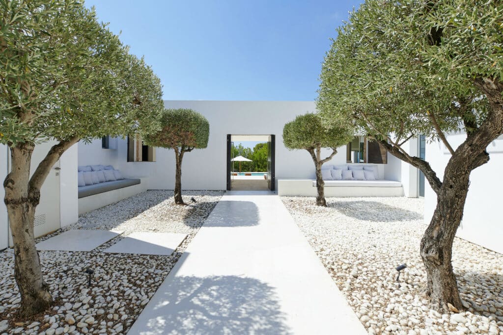 A modern courtyard with a touch of luxury travel, boasting a white pebble ground lined by olive trees and white benches with cushions. A narrow pathway leads to an open gate, revealing greenery and a patio with a pool under the clear blue sky. David Pearson Travel
