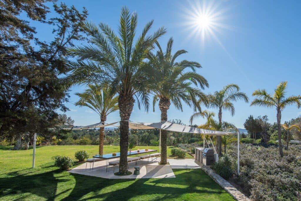 A sunny outdoor patio with a large shade structure supported by palm trees offers a luxury travel vibe. Beneath it are two picnic tables, a bench, and a grill. The lush surrounding area is filled with grass and trees, set against a clear blue sky with the sun shining brightly. David Pearson Travel