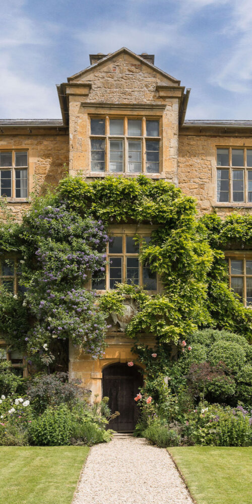 Ebrington Manor David Pearson Travel A large stone manor house covered in ivy and climbing plants graces the Home Page, its tall windows gleaming above neatly trimmed lawns and gardens. A black cat sits on the grass near the central doorway, completing this welcoming scene. David Pearson Travel