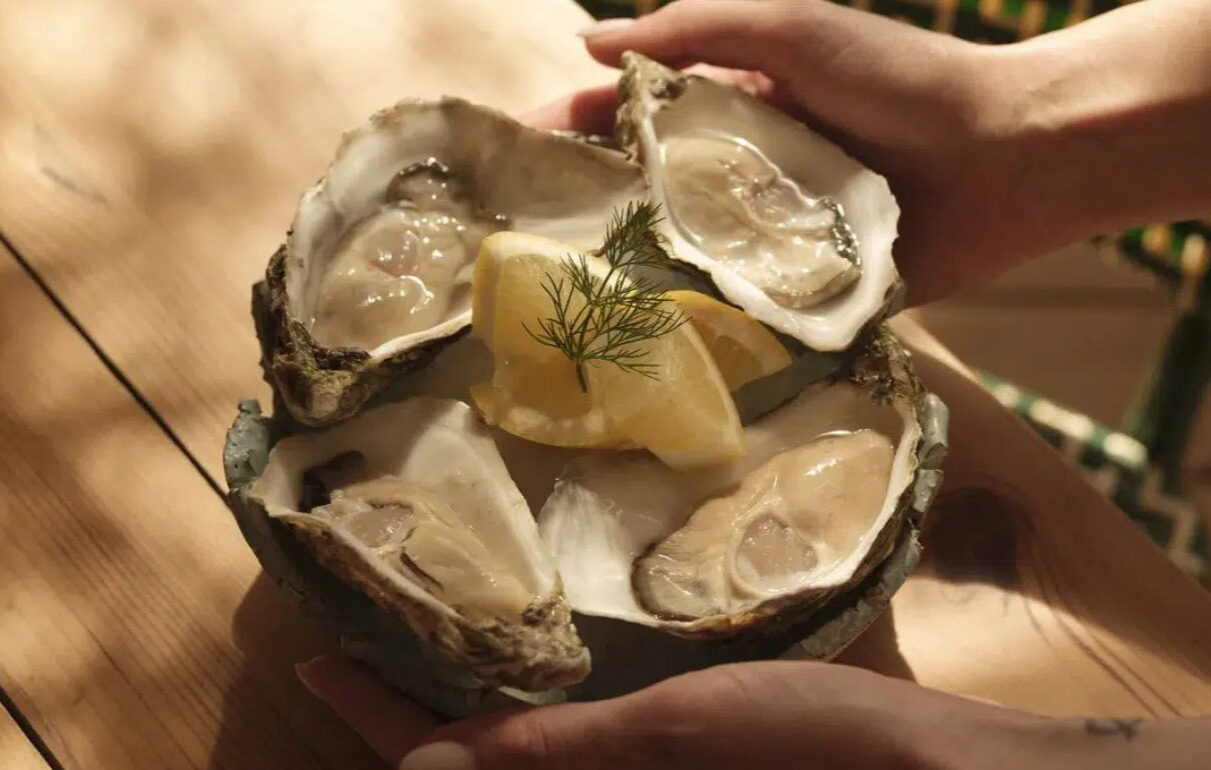 Ibiza A person holds a bowl with four fresh oysters on the half shell, garnished with lemon wedges and a sprig of dill, ready to be enjoyed—just like you'd find featured on our Home Page. David Pearson Travel