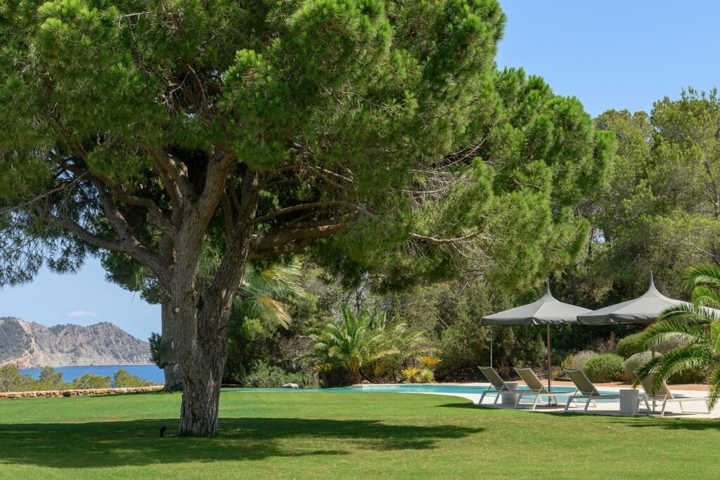 A large tree provides shade on a green lawn near a swimming pool with lounge chairs and umbrellas. In the background are lush trees and a view of mountains and the sea under a clear blue sky. David Pearson Travel