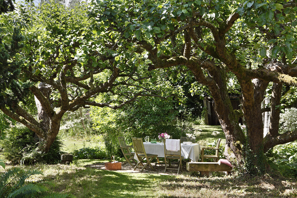 A wooden table with a chequered cloth and several chairs is set for a meal under the shade of large, leafy trees in a lush garden. Flowers, glasses, and a basket are on or near the table. David Pearson Travel